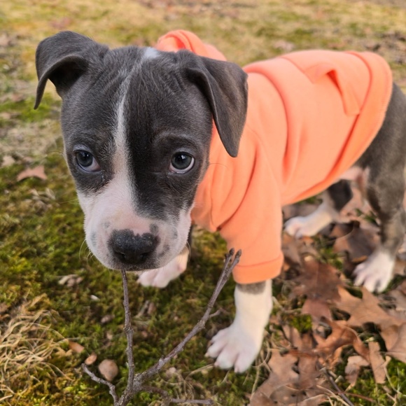 Meet your Posher, Kristen - Picture 8 of 11